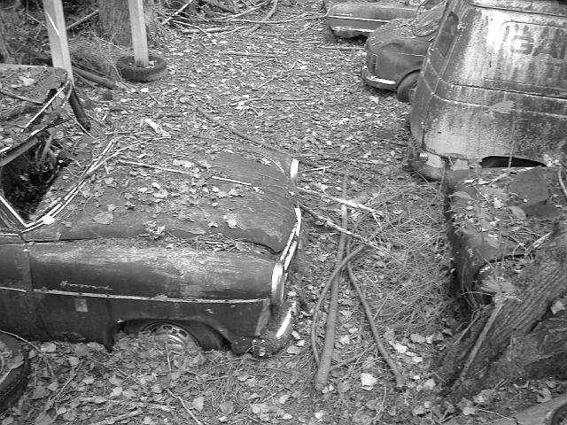 Autofriedhof - 114.JPG - Historischer Autofriedhof,    Gürbetal (CH)